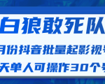 白狼敢死队最新抖音短视频批量起影视号(一天单人可操作30个号)视频课程-逐浪前行