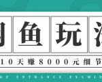 龟课·闲鱼项目玩法实战班第12期,操作10天左右利润有8000元细节玩法-逐浪前行