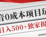 短视频变现套路剖析,抖音0成本赚钱项目玩法,日入500+独家揭秘(共2节视频)-逐浪前行