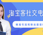 某站内部课程:淘宝客社交电商裂变,精准引流和粉丝裂变模式详解(共6节视频)-逐浪前行