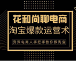 花和尚·天猫淘宝爆款运营实操技术,手把手教你月销万件的爆款打造技巧-逐浪前行