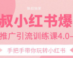 狼叔小红书爆款推广引流训练课4.0,手把手带你玩转小红书-逐浪前行