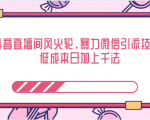 抖音直播间风火轮,暴力微信引流技术,低成本日加上千法-逐浪前行
