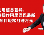 利用信息差异,零投资操作阿里巴巴最新管道项目轻松月赚10000+-逐浪前行