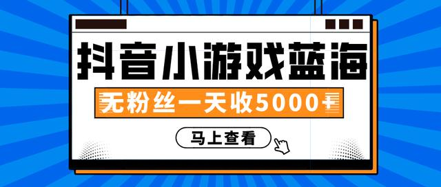 赚钱计划：抖音小游戏蓝海项目，无粉丝一天收入5000+-逐浪前行