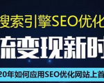 SEO搜索引擎优化总监实战VIP课堂【透析2020最新案例】快速实现年新30W-逐浪前行