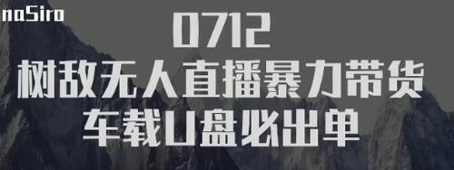 树敌‮习研‬社抖音无人直播暴力带货车载U盘必出单，单号单日产出300纯利润-逐浪前行
