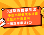 0基础直播带货课:小白也能低成本搭建疯狂卖货直播间:1场直播带货6万-逐浪前行