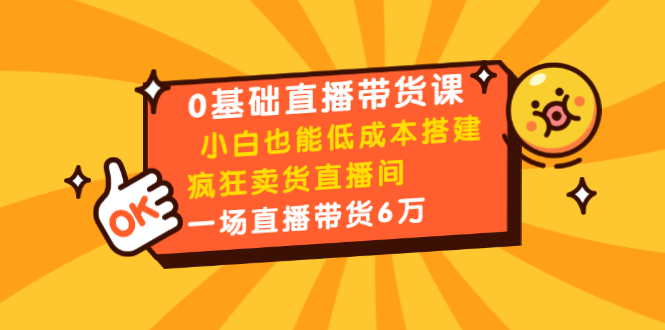 0基础直播带货课：小白也能低成本搭建疯狂卖货直播间：1场直播带货6万-逐浪前行