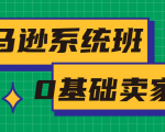亚马逊系统班,专为0基础卖家量身打造,亚马逊运营流程与架构-逐浪前行