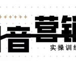 《12天线上抖音营销实操训练营》通过框架布局实现自动化引流变现-逐浪前行