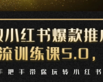 小红书爆款推广引流训练课5.0,手把手带你玩转小红书(17节实操视频+话术)-逐浪前行