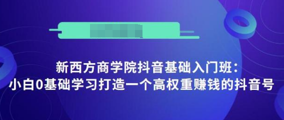 抖音基础入门班：小白0基础学习打造一个高权重赚钱的抖音号-逐浪前行