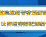 微信视频号变现项目,0粉丝冷启动项目和十三种变现方式-逐浪前行