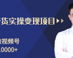 柚子分享课:微信视频号变现攻略,新手零基础轻松日赚千元-逐浪前行