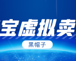黑帽子淘宝虚拟卖货项目,单店每月收入5000+-逐浪前行