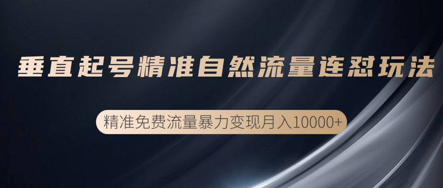 垂直起号精准自然流量连爆玩法，精准引流暴力变现月入10000+-逐浪前行