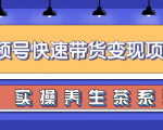 柚子视频号带货实操变现项目,零基础操作养身茶月入10000+-逐浪前行