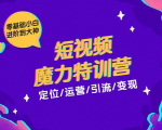零基础小白进阶到大神《短视频魔力特训营》定位-运营-引流-变现-逐浪前行
