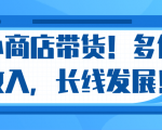 微信小商店带货,爆单多倍收入,长期复利循环!日赚300-800元不等-逐浪前行