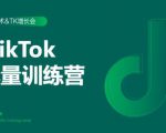 2020最新TikTok流量增长训练营(完结)附PPT-逐浪前行