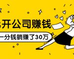 0元开公司赚钱,不花一分钱几天躺赚了30多万,详细操作流程!-逐浪前行