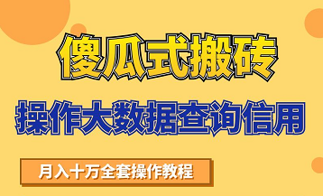 搬砖操作大数据查询信用项目赚钱教程，祝你快速月入6万-逐浪前行