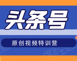 头条号原创视频特训营:一对一带你玩转短视频,新号10天日收益破252元-逐浪前行