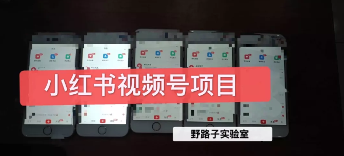 野路子小红书视频号1.0项目，直接上手操作就能赚钱的视频号项目-逐浪前行