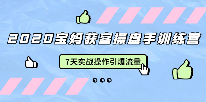 2020宝妈获客操盘手训练营：7天实战操作引爆 母婴、都市、购物宝妈流量-逐浪前行