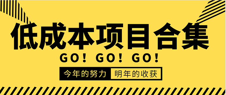 低成本零成本项目合集：赚钱快的慢的、暴利的，线上线下的，价值万元资料-逐浪前行