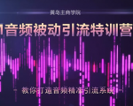 黄岛主·FM音频引流特训营2.0:独家引流模式,单账号50W+播放量,轻松变现-逐浪前行