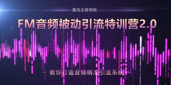 黄岛主·FM音频引流特训营2.0：独家引流模式，单账号50W+播放量，轻松变现-逐浪前行