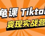龟课·TikTok变现实战训练营线上第1期,多种变现模式,轻松赚美刀-逐浪前行