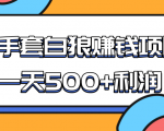 某团队收费项目:空手套白狼,一天500+利润,人人可做-逐浪前行