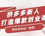 拼多多新人打造爆款创业课:快速引流持续出单,适用于所有新人-逐浪前行