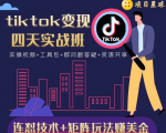 tiktok变现四天实战班,连怼技术+矩阵玩法赚美金!价值998元-逐浪前行