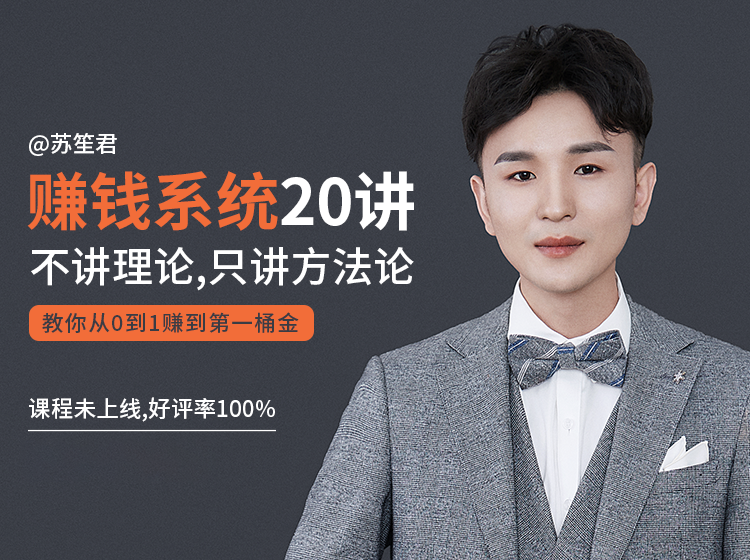 苏笙君的赚钱系统20课 教你从0到1赚到你的第一桶金（不讲理论，只讲方法论）-逐浪前行