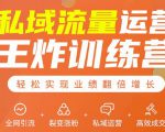 私域流量运营王炸训练营:全网引流+裂变涨粉+私域运营+高效成交-逐浪前行