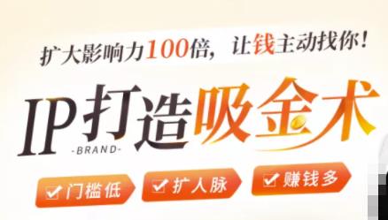 IP打造吸金术：0基础0资源，也能扩大影响力100倍，让钱主动找你！-逐浪前行