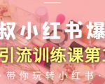 狼叔小红书爆款推广引流训练课第12期,手把手带你玩转小红书-逐浪前行