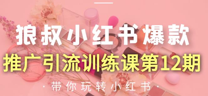 狼叔小红书爆款推广引流训练课第12期，手把手带你玩转小红书-逐浪前行