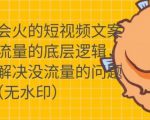 只说话就会火的短视频文案课，从根本上解决没流量的问题-逐浪前行