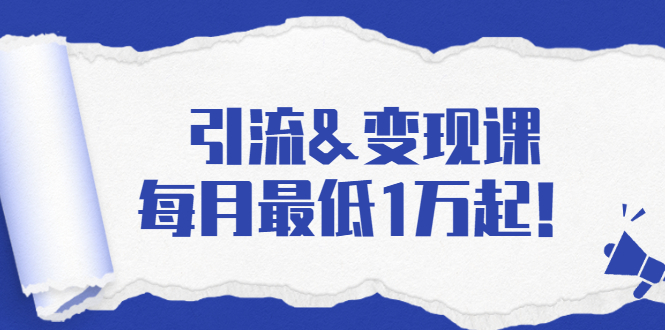 引流&变现课：分享一整套流量方法以及各个渠道收入，每月最低1万起！-逐浪前行