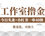 工作室撸金二件套：撸今日头条原创收益+小红书一单利润40块项目-逐浪前行