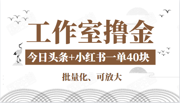 工作室撸金二件套：撸今日头条原创收益+小红书一单利润40块项目-逐浪前行