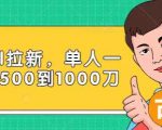 Paypal拉新赚美刀项目,单人一天利润500-1000刀【视频课程】-逐浪前行