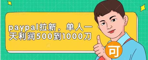 Paypal拉新赚美刀项目，单人一天利润500-1000刀【视频课程】-逐浪前行
