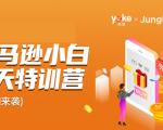 雨课·亚马逊小白特训营第9期 跨境电商挺赚钱的 有朋友已经月入几十万美金-逐浪前行