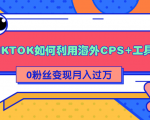 详细解析TIKTOK如何利用海外CPS+工具0粉丝轻松变现月入过万-逐浪前行